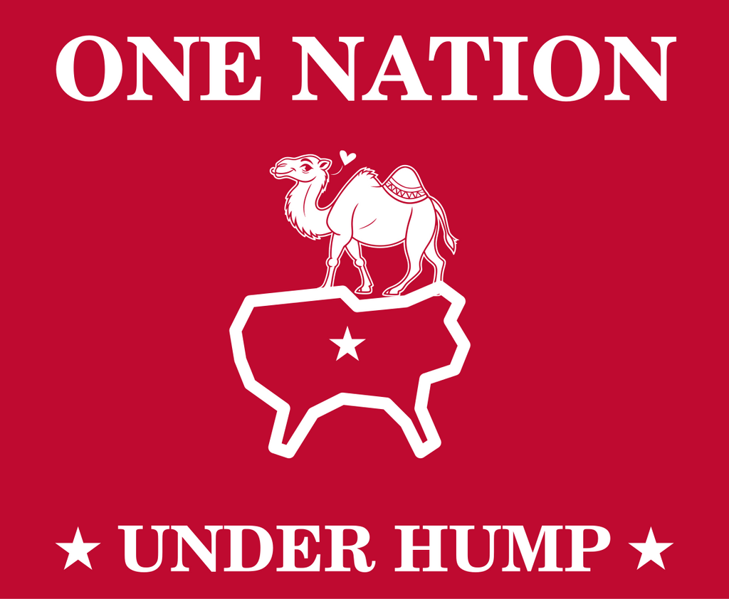 ONE NATION UNDER HUMP Tee