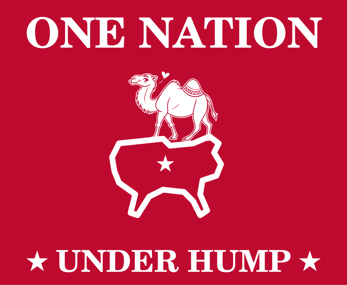 ONE NATION UNDER HUMP Tee