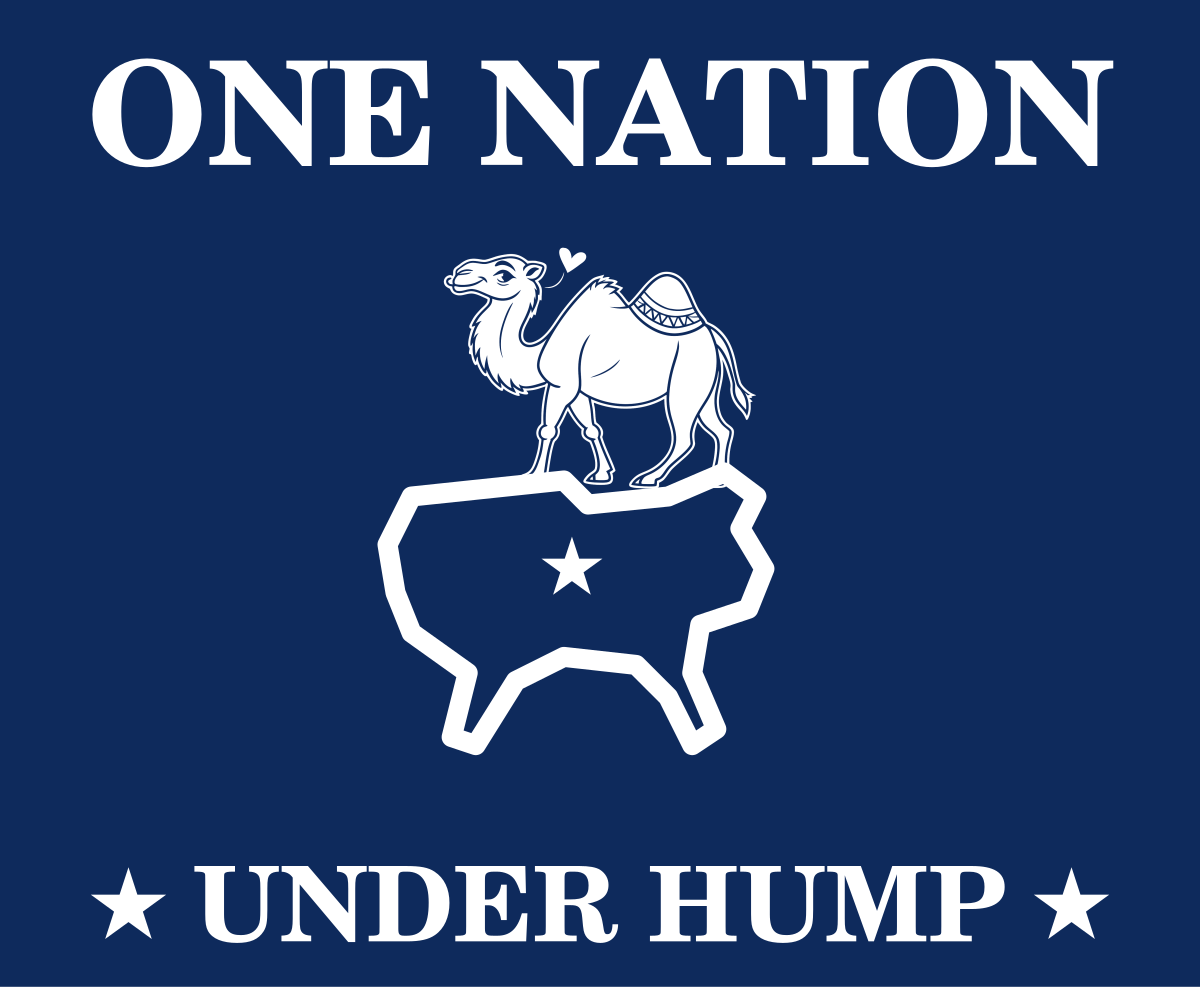 ONE NATION UNDER HUMP Tee