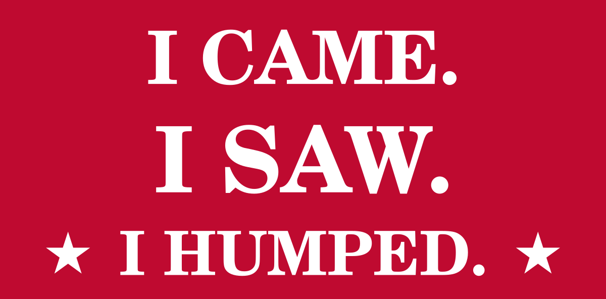 I CAME. I SAW. I HUMPED. Tee