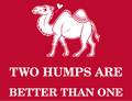 TWO HUMPS ARE BETTER THAN ONE Tee