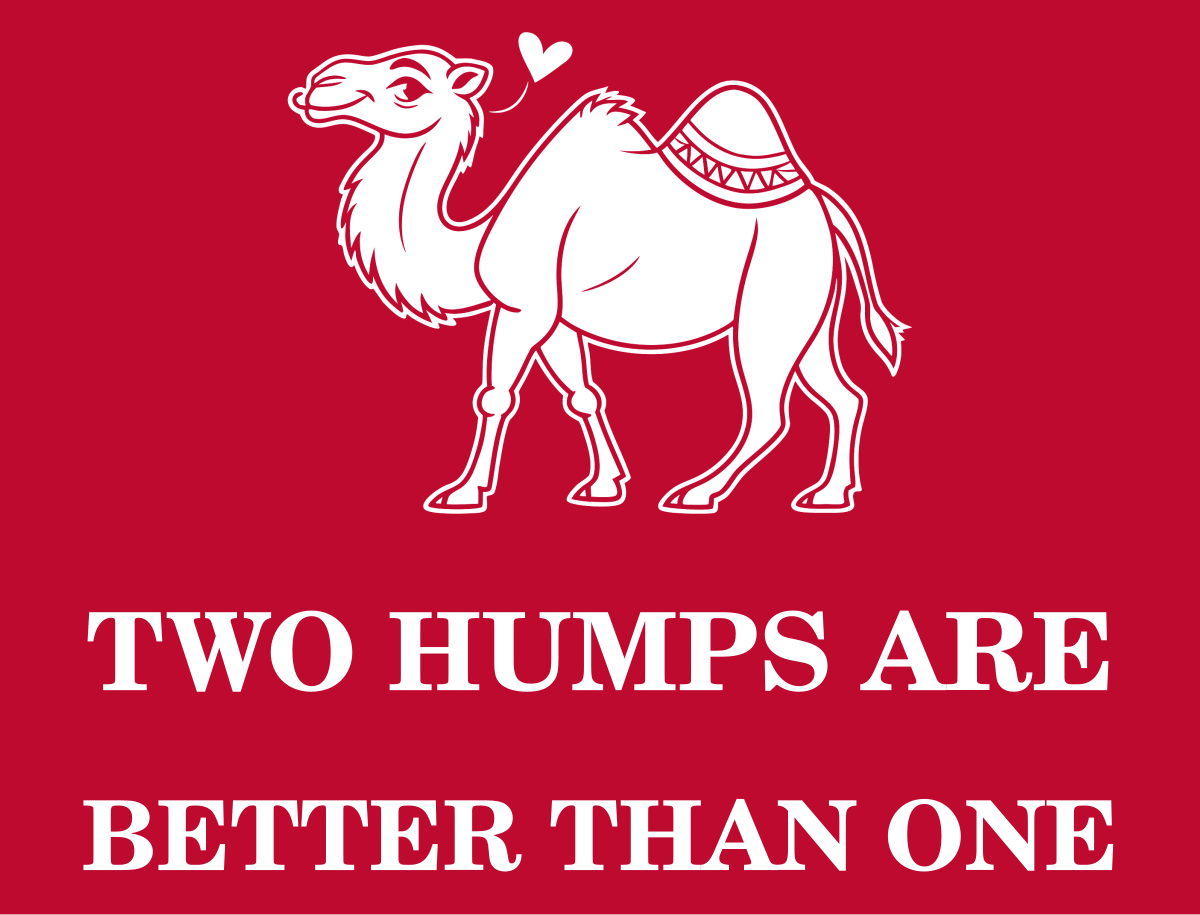 TWO HUMPS ARE BETTER THAN ONE Tee