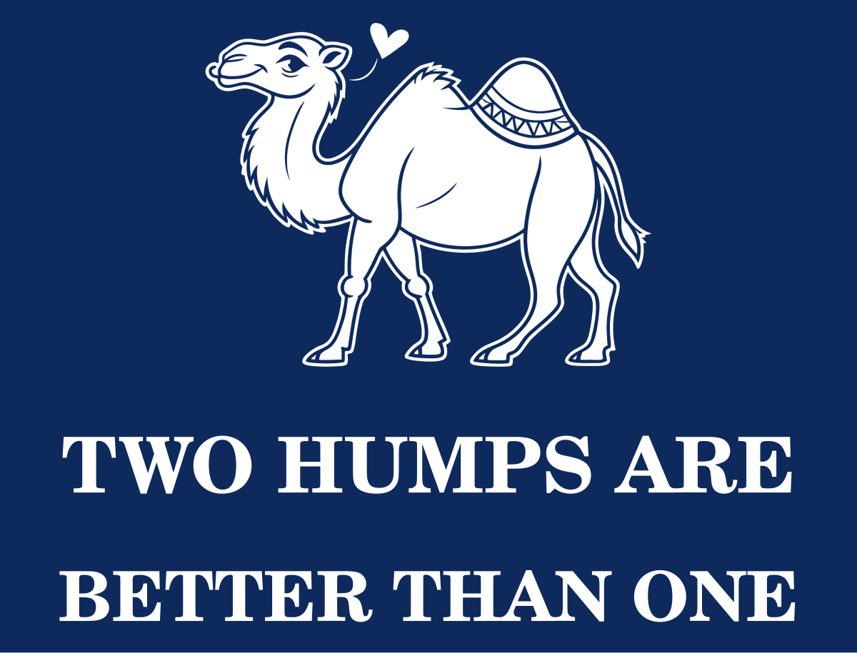 TWO HUMPS ARE BETTER THAN ONE Tee